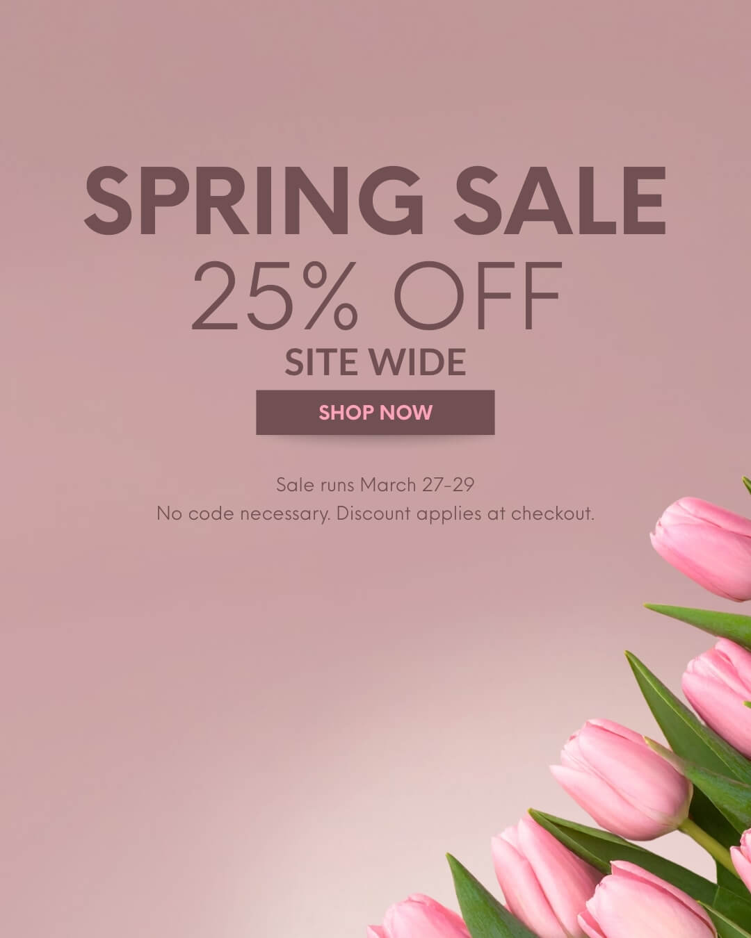 files/SPRING_SALE_Mobile_Version_2_1_1.jpg